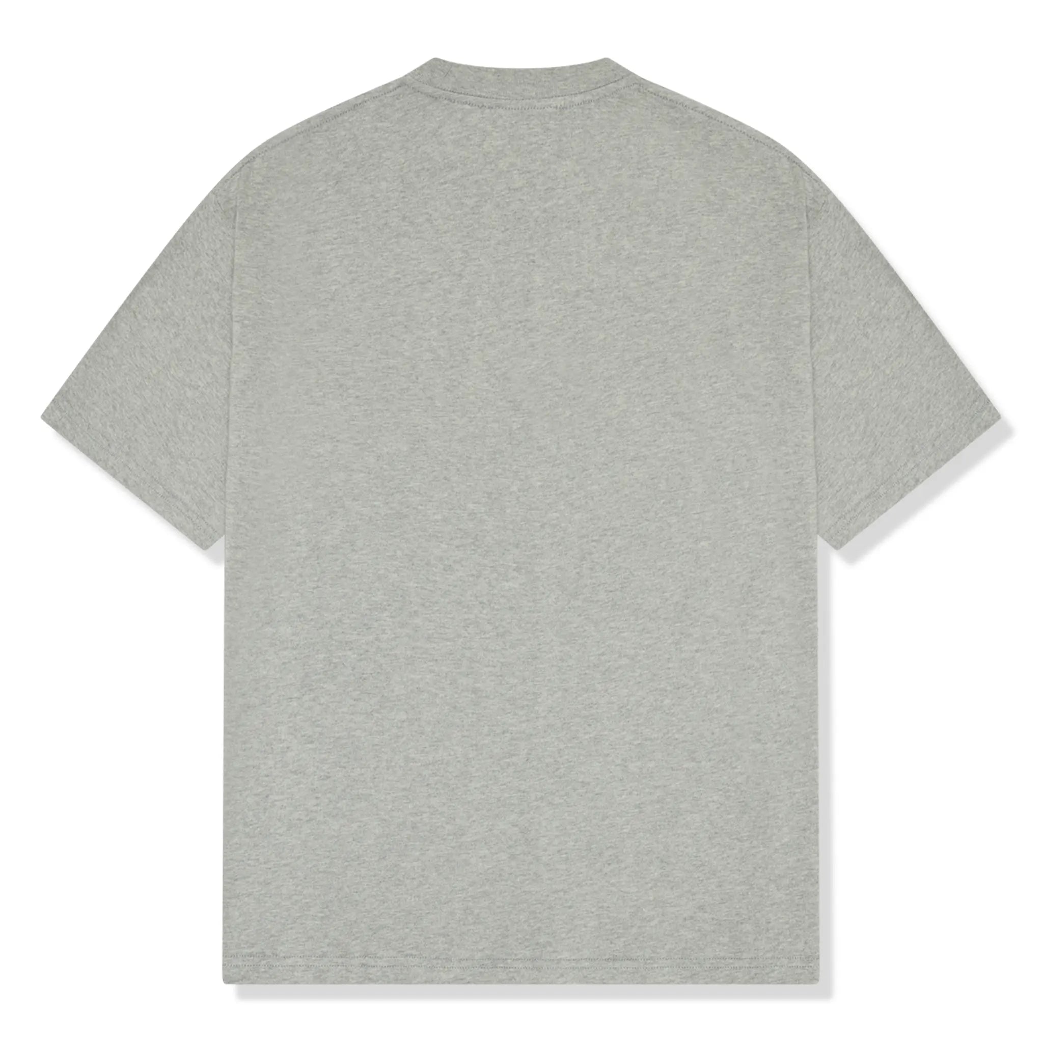 Back view of Broken Planet Basics Heather Grey T Shirt