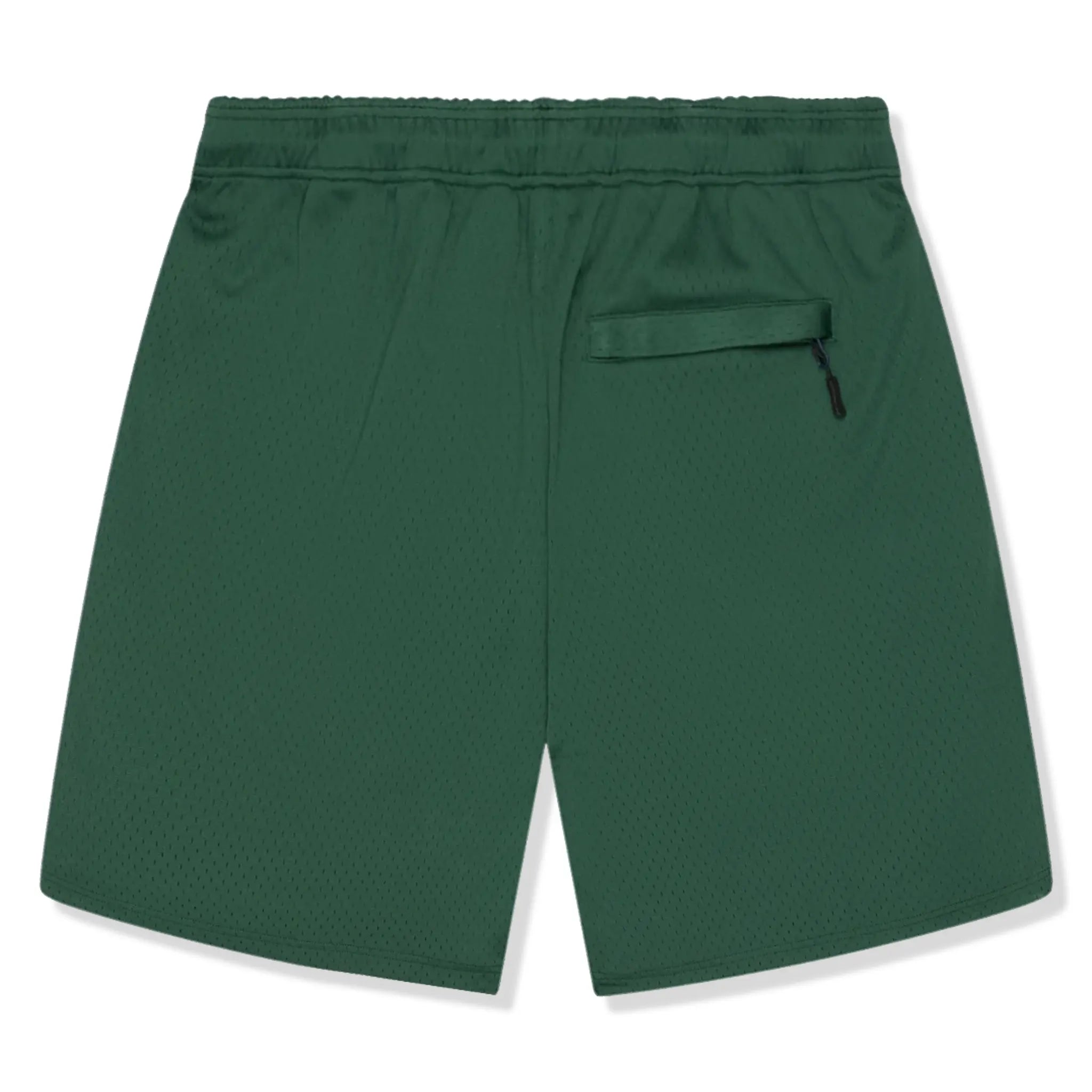 Back view of Broken Planet Mesh Green Shorts