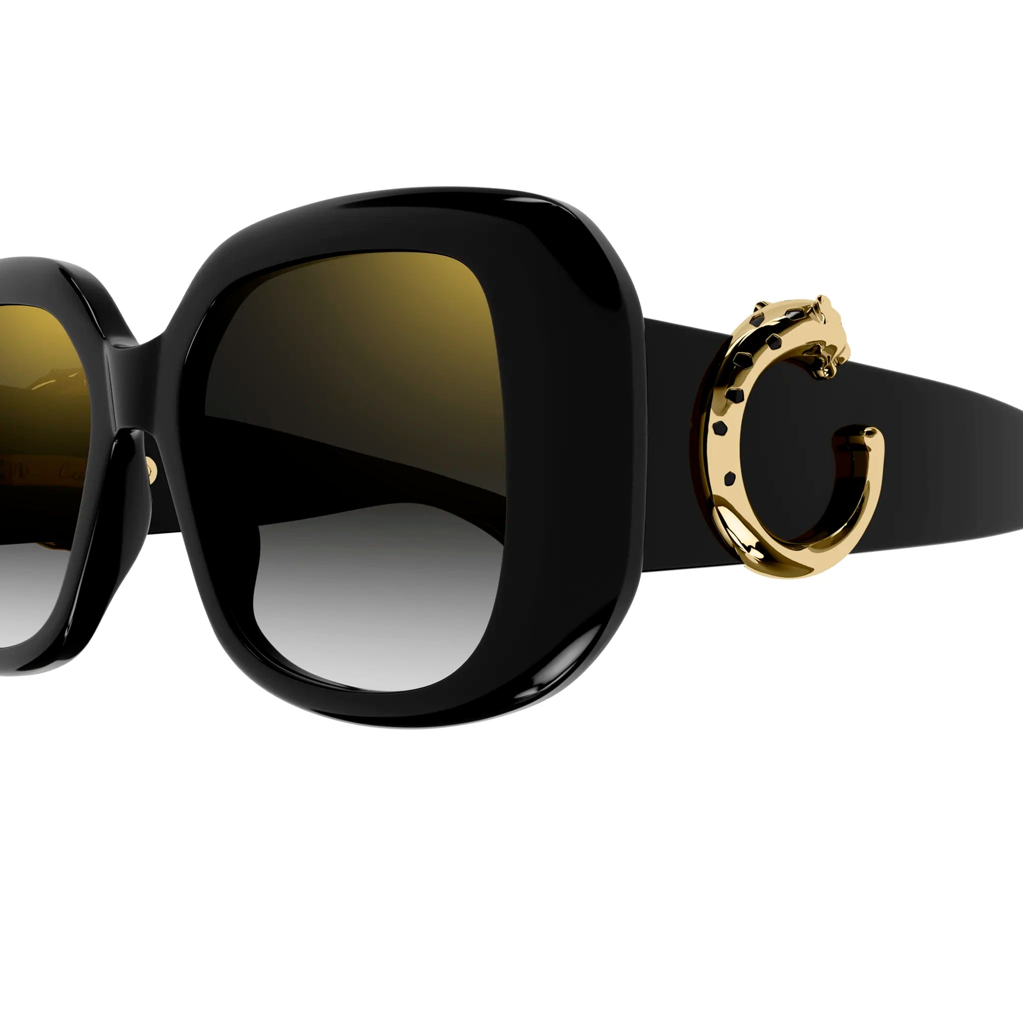 Close Up view of Cartier Eyewear CT0471S-001 Black Grey Sunglasses