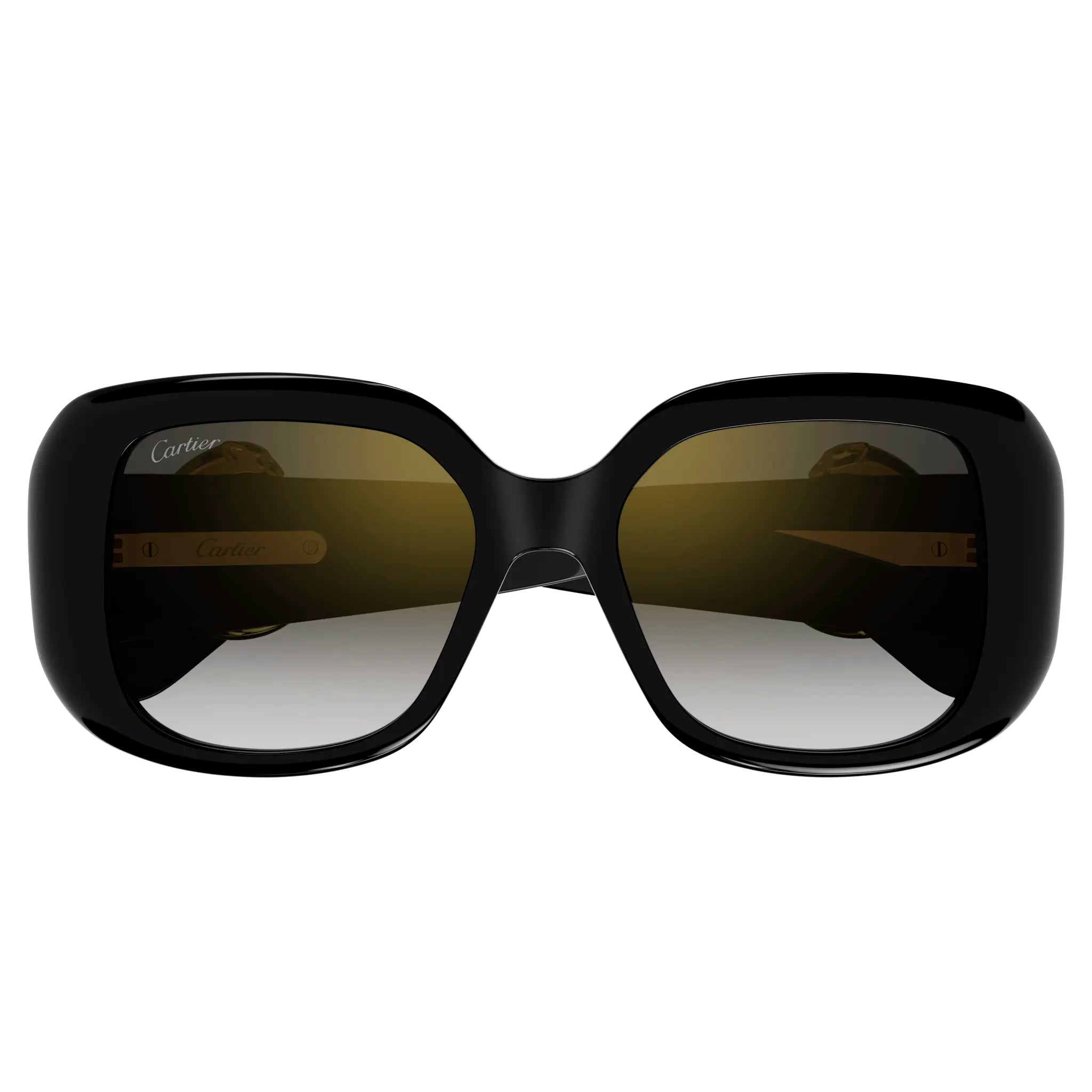 Folded view of Cartier Eyewear CT0471S-001 Black Grey Sunglasses