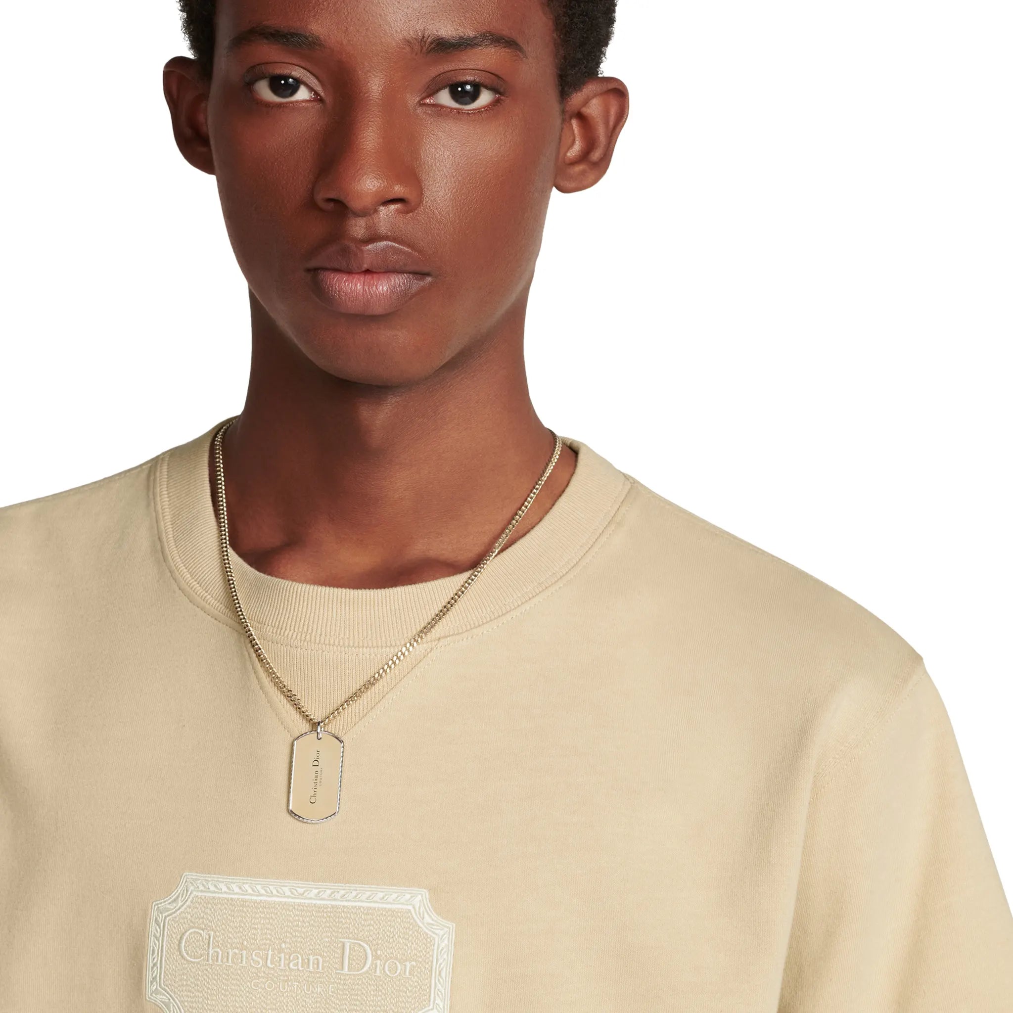 Model detail view of Dior CD Icon Relaxed Fit Cotton Beige T Shirt 943J605F0554_C182