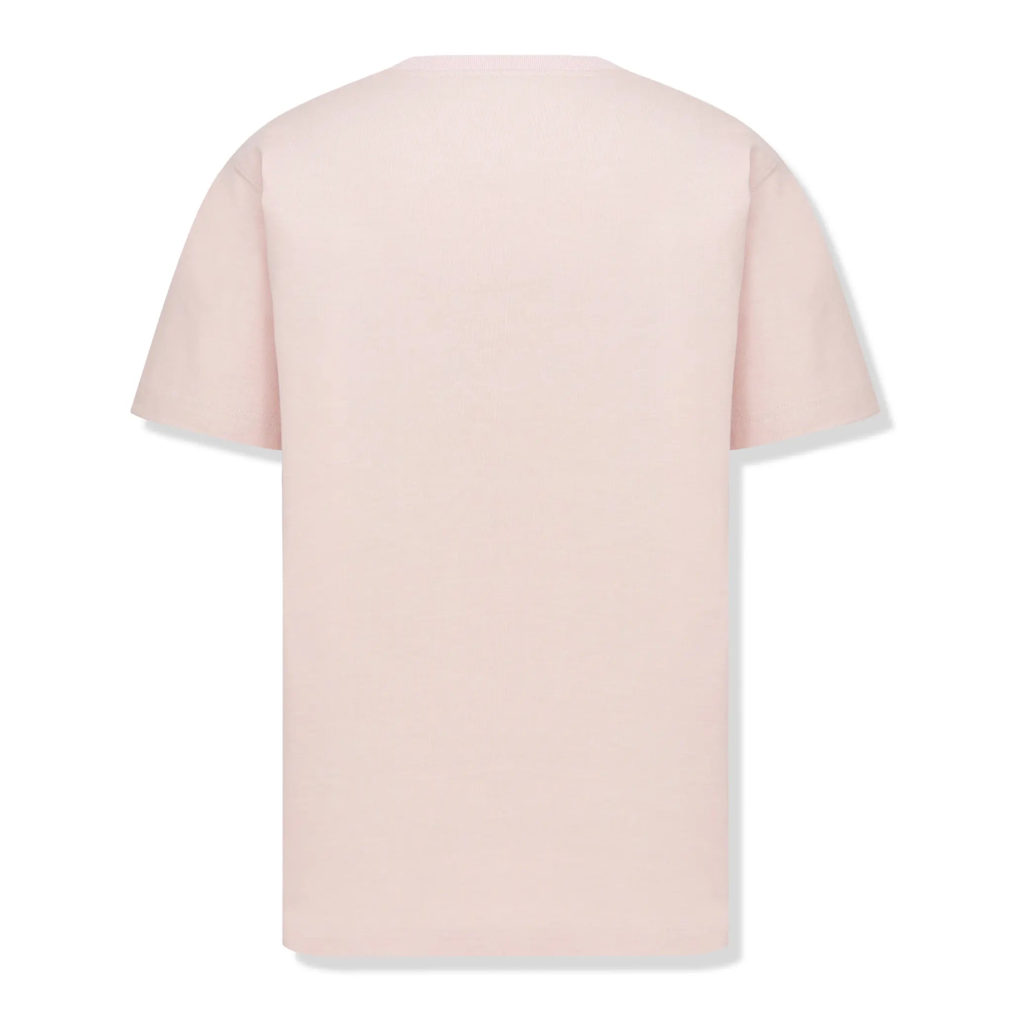 Back view of Dior CD Icon Relaxed Fit Cotton Pink T Shirt 943J605F0554_C485