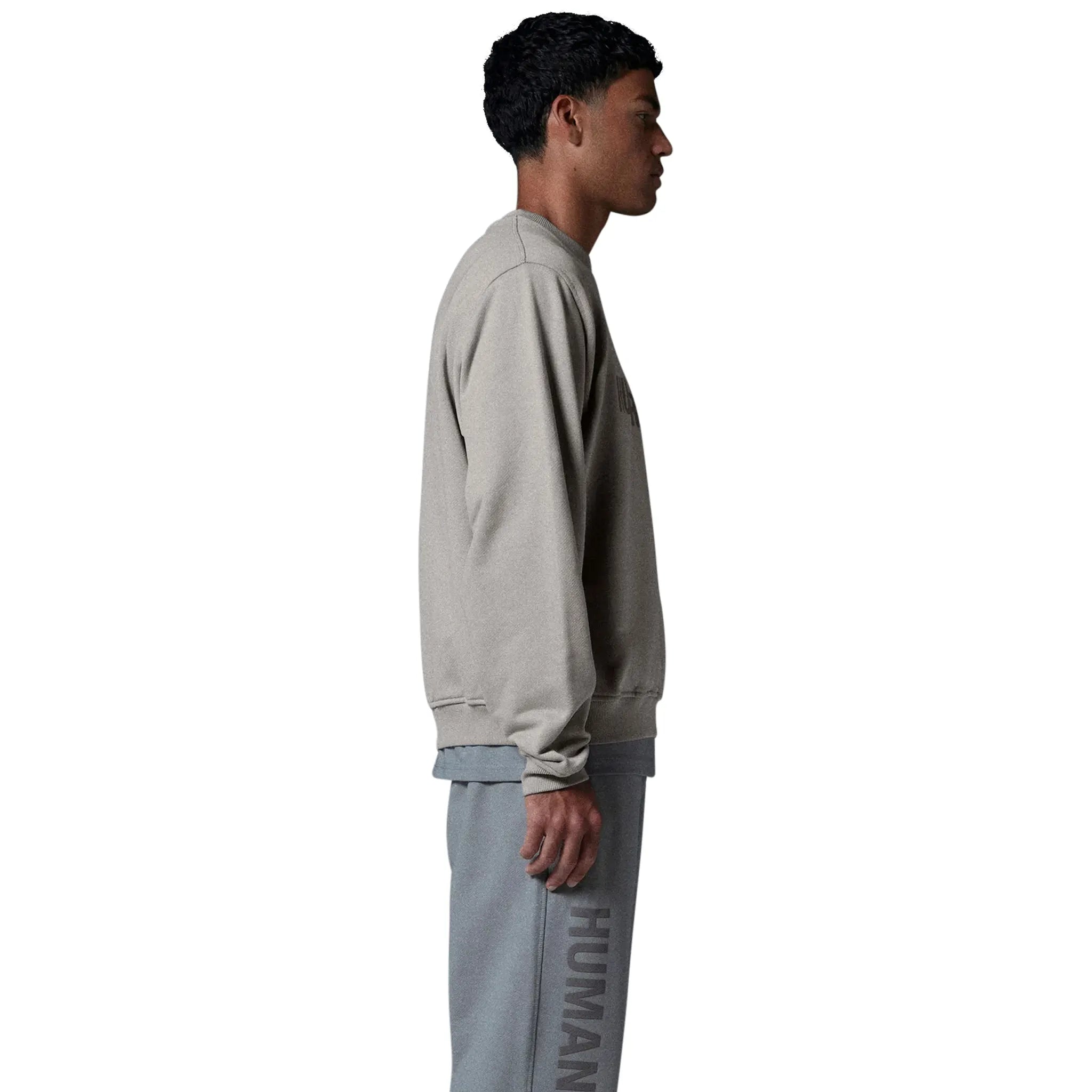 Model side view of Human Race Planet Desert Grey Sweatshirt