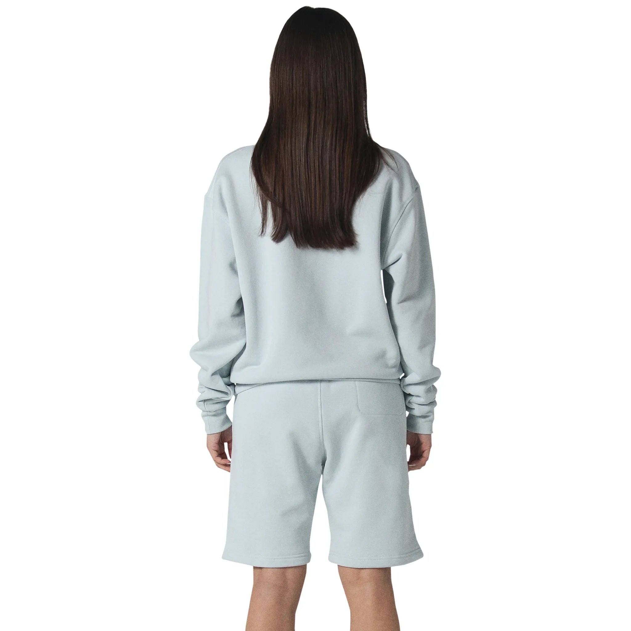 Model back view of Human Race World Soft Blue Sweatshirt