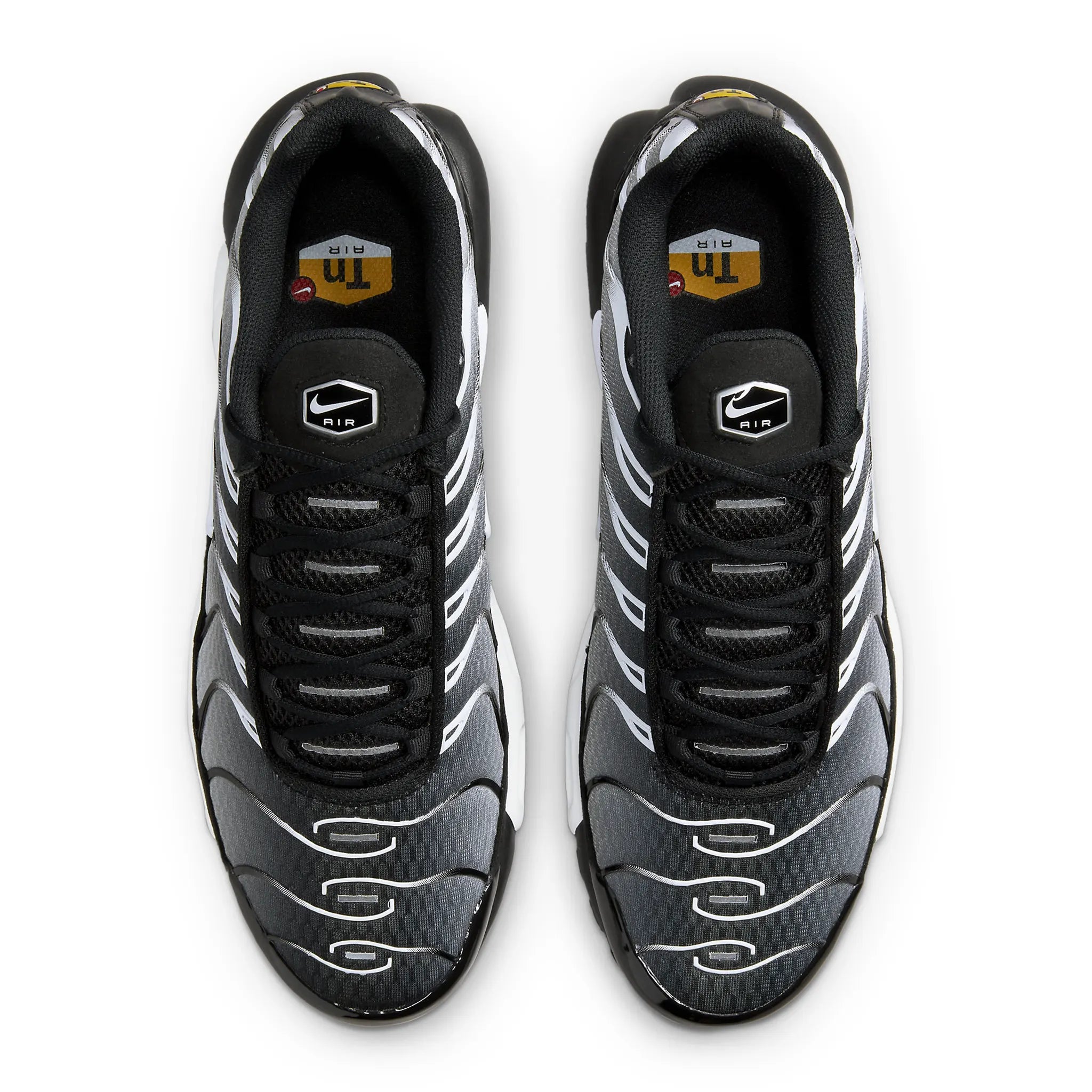 Top view of Nike Air Max Plus Black Metallic Silver DM0032-003