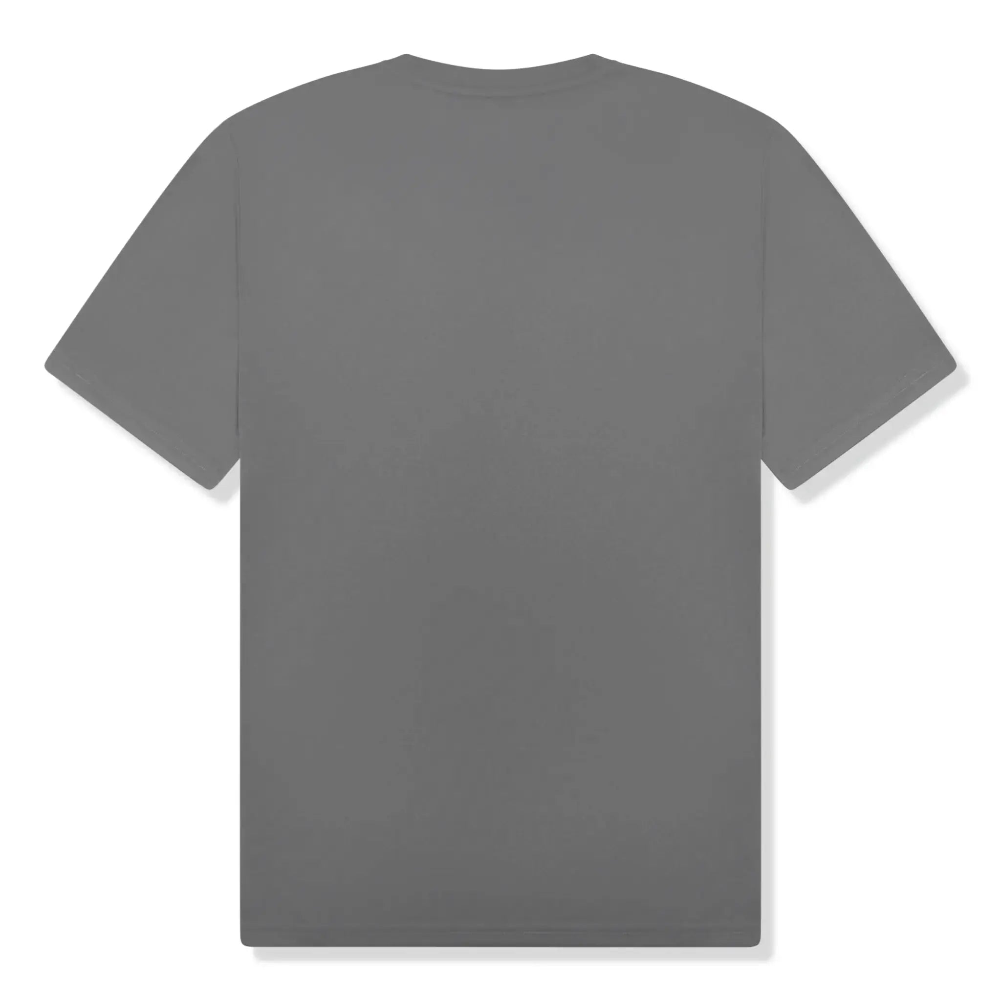 Back view of SIARR Performance Grey T Shirt 